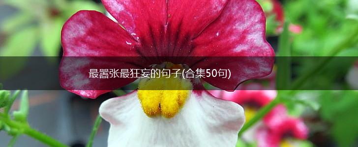 最嚣张最狂妄的句子(合集50句),第1张