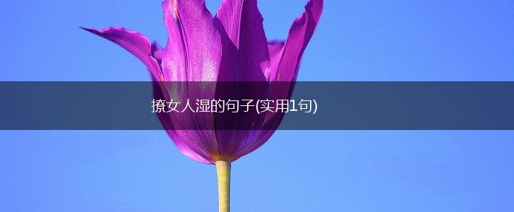撩女人湿的句子(实用1句),第1张