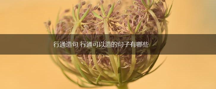 行通造句 行通可以造的句子有哪些,第1张