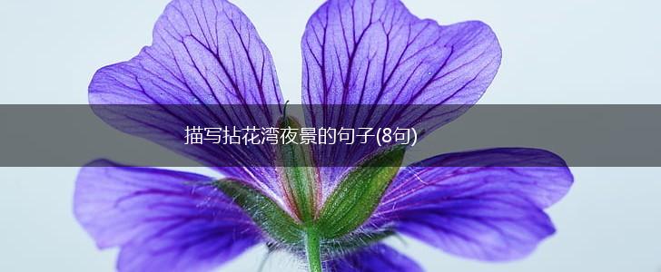 描写拈花湾夜景的句子(8句),第1张