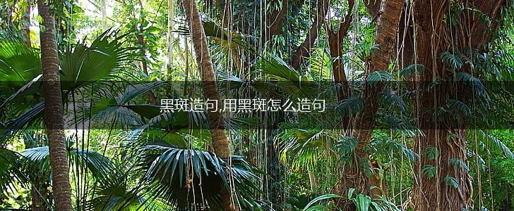 黑斑造句,用黑斑怎么造句,第1张 黑斑造句,用黑斑怎么造句,第1张