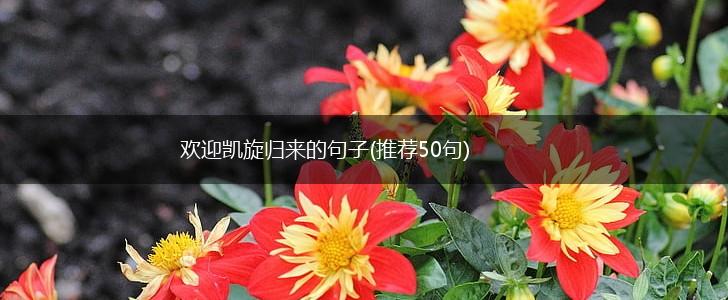 欢迎凯旋归来的句子(推荐50句),第1张