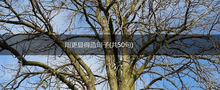 用更显得造句子(共50句),第1张