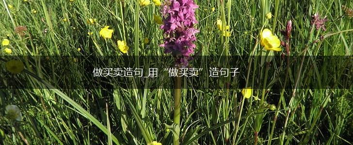 做买卖造句_用“做买卖”造句子,第1张 做买卖造句_用“做买卖”造句子,第1张