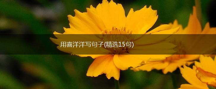 用喜洋洋写句子(精选15句),第1张