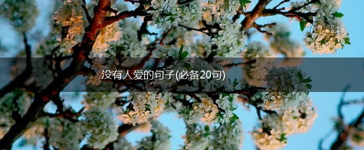 没有人爱的句子(必备20句),第1张