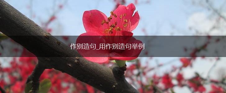 作别造句_用作别造句举例,第1张 作别造句_用作别造句举例,第1张