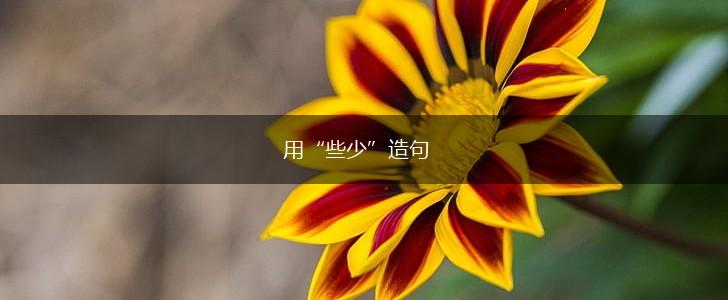 用“些少”造句,第1张