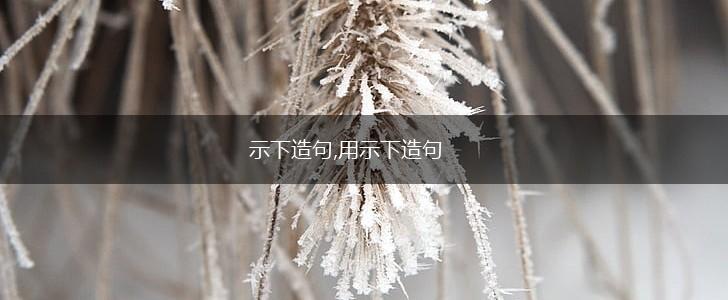 示下造句,用示下造句,第1张