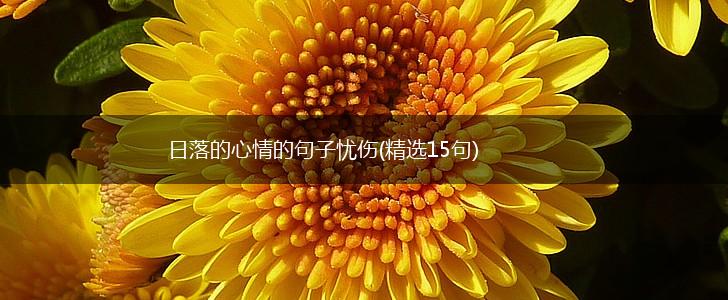 日落的心情的句子忧伤(精选15句),第1张
