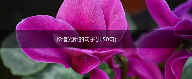 珍惜光阴的句子(共50句),第1张