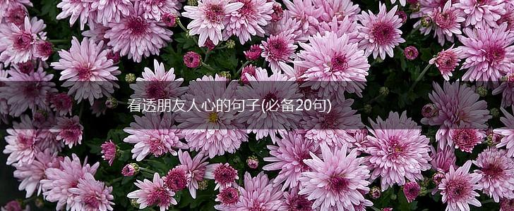 看透朋友人心的句子(必备20句),第1张
