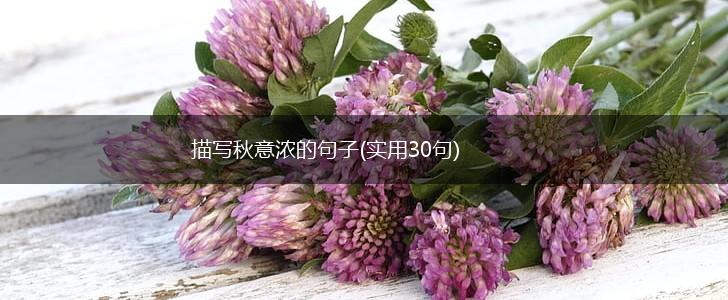 描写秋意浓的句子(实用30句),第1张