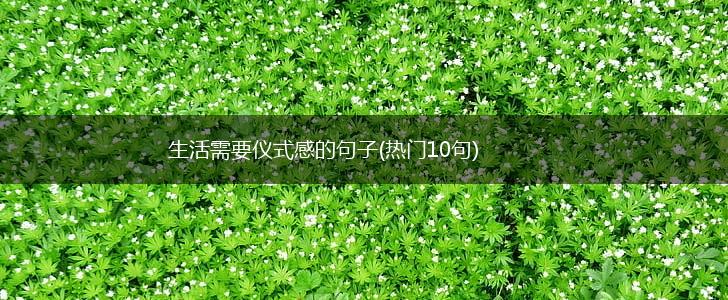 生活需要仪式感的句子(热门10句),第1张
