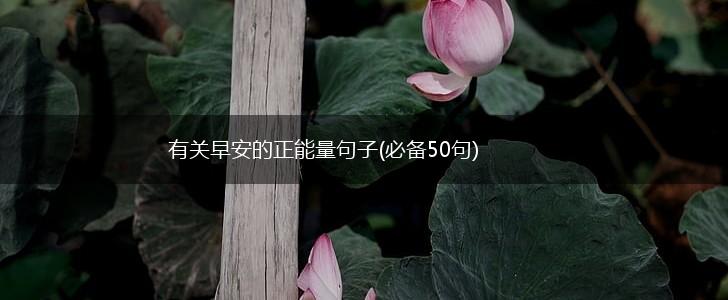 有关早安的正能量句子(必备50句),第1张