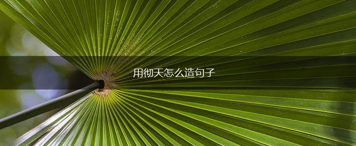 用彻天怎么造句子,第1张 用彻天怎么造句子,第1张