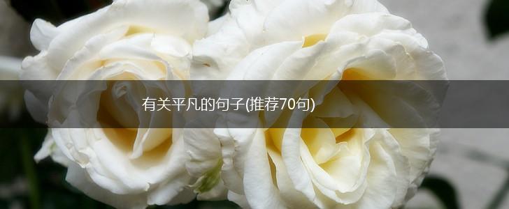 有关平凡的句子(推荐70句),第1张