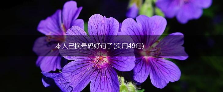 本人己换号码好句子(实用49句),第1张