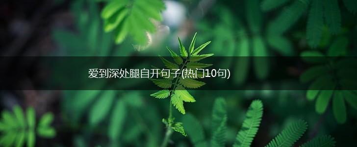 爱到深处腿自开句子(热门10句),第1张