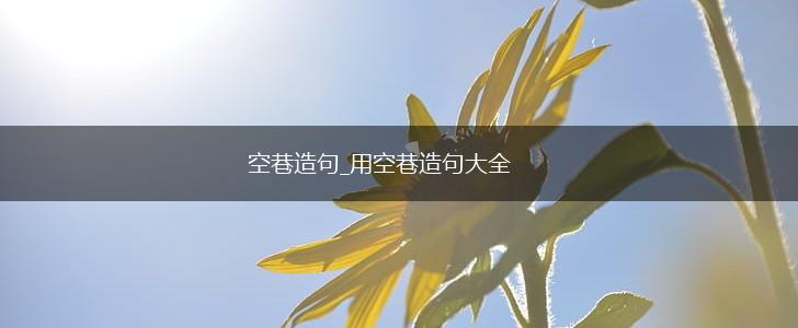 空巷造句_用空巷造句大全,第1张