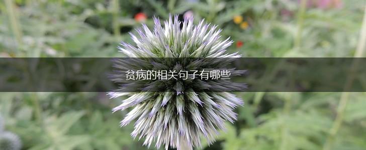 贫病的相关句子有哪些,第1张 贫病的相关句子有哪些,第1张