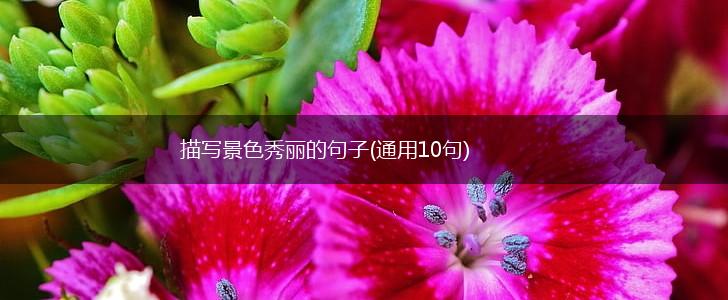 描写景色秀丽的句子(通用10句),第1张