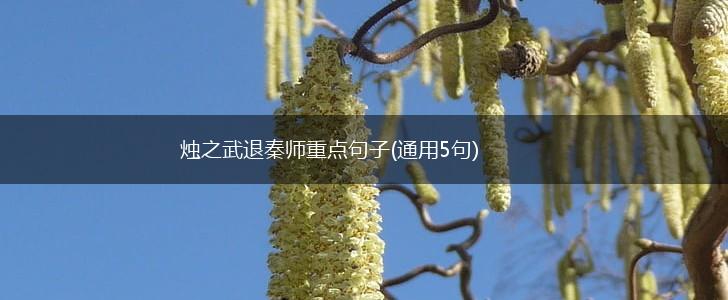烛之武退秦师重点句子(通用5句),第1张