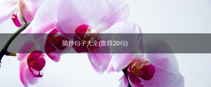 摘抄句子大全(推荐20句),第1张