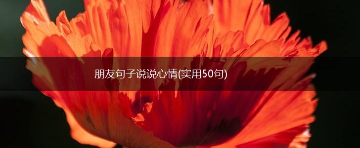 朋友句子说说心情(实用50句),第1张
