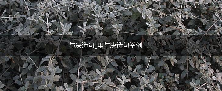 与决造句_用与决造句举例,第1张 与决造句_用与决造句举例,第1张