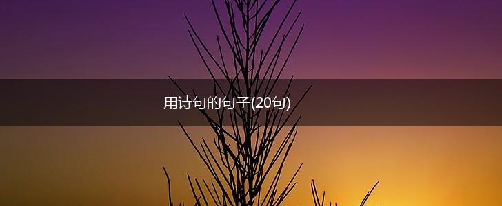 用诗句的句子(20句),第1张
