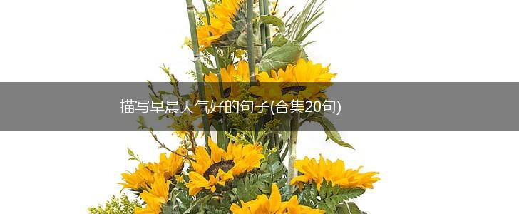 描写早晨天气好的句子(合集20句),第1张