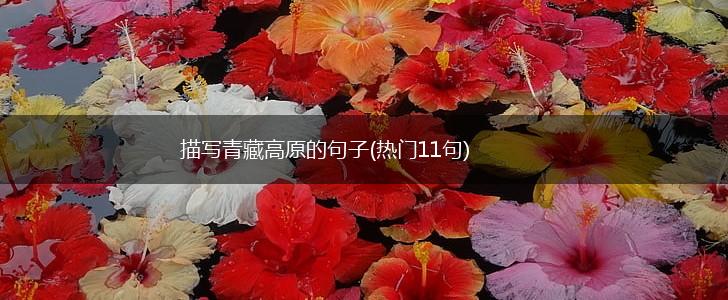 描写青藏高原的句子(热门11句),第1张