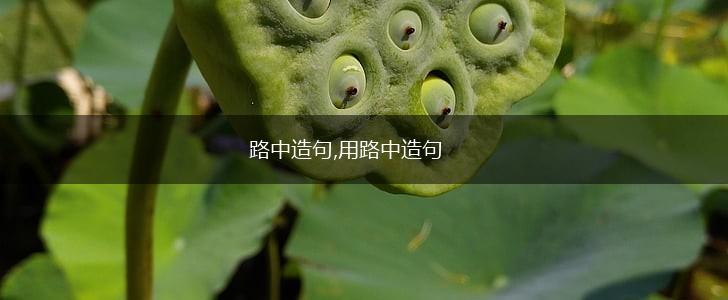 路中造句,用路中造句,第1张