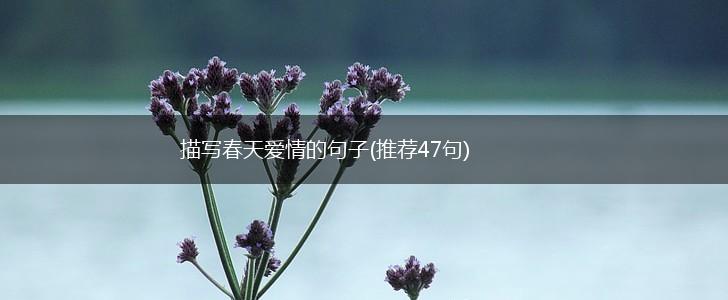 描写春天爱情的句子(推荐47句),第1张