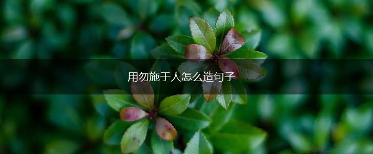 用勿施于人怎么造句子,第1张 用勿施于人怎么造句子,第1张