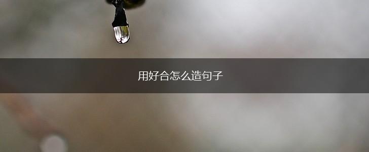用好合怎么造句子,第1张