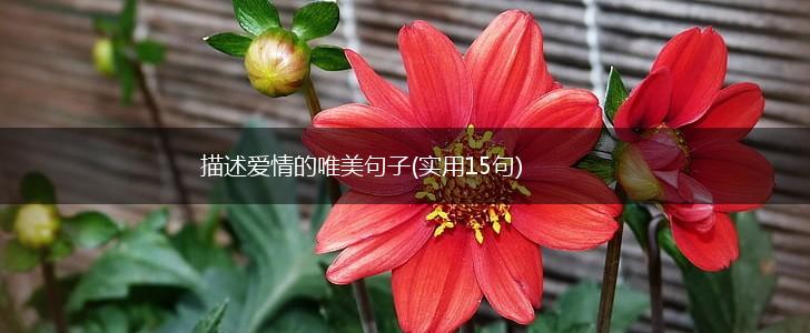 描述爱情的唯美句子(实用15句),第1张