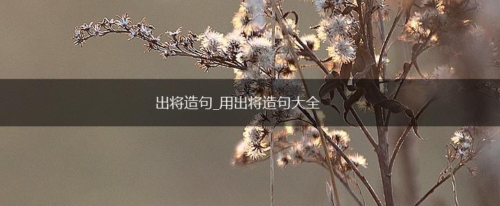 出将造句_用出将造句大全,第1张 出将造句_用出将造句大全,第1张