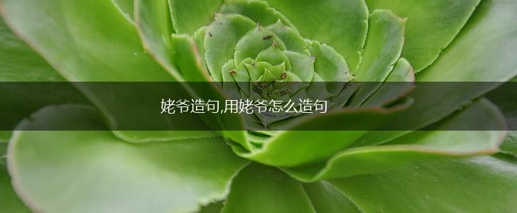 姥爷造句,用姥爷怎么造句,第1张