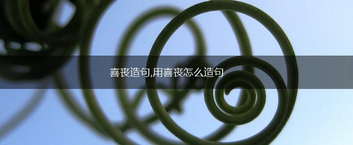 喜丧造句,用喜丧怎么造句,第1张 喜丧造句,用喜丧怎么造句,第1张