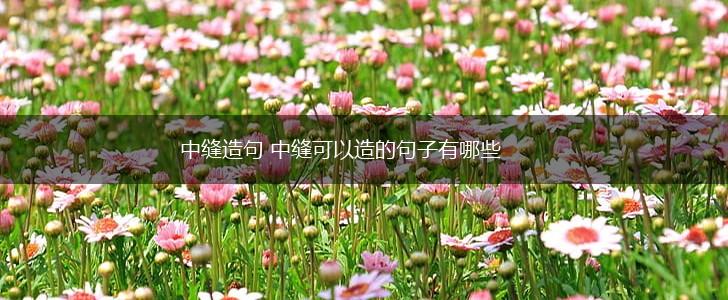 中缝造句 中缝可以造的句子有哪些,第1张 中缝造句 中缝可以造的句子有哪些,第1张