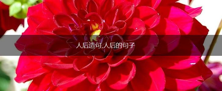 人后造句,人后的句子,第1张 人后造句,人后的句子,第1张
