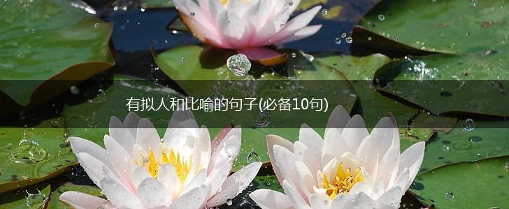 有拟人和比喻的句子(必备10句),第1张