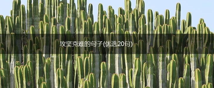 攻坚克难的句子(优选20句),第1张