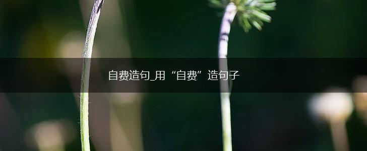 自费造句_用“自费”造句子,第1张 自费造句_用“自费”造句子,第1张