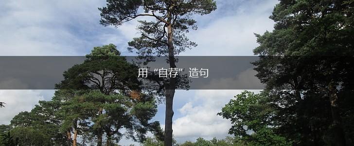 用“自荐”造句,第1张 用“自荐”造句,第1张