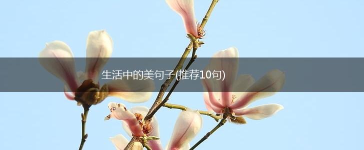 生活中的美句子(推荐10句),第1张