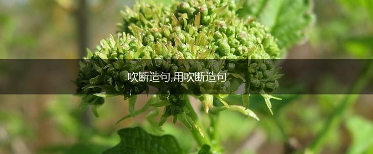 吹断造句,用吹断造句,第1张