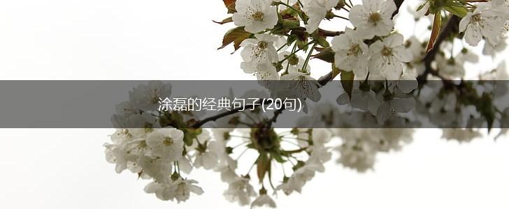 涂磊的经典句子(20句),第1张